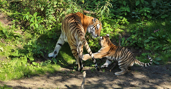 Familienzoo Eberswalde