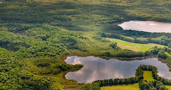 Biosphärenreservat Schorfheide-Chorin